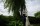 Gate_Street_Barn_Surrey_wedding_photos 024.jpg